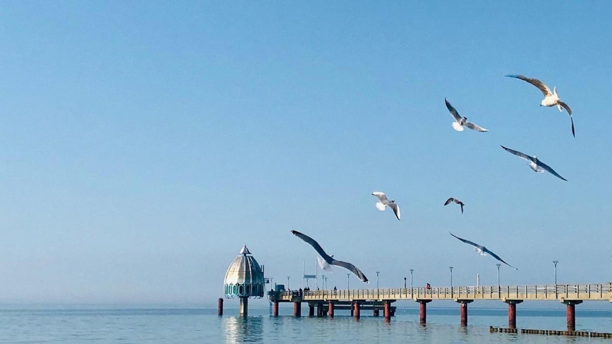 Baldo Apartment Ostseeheilbad Zingst
